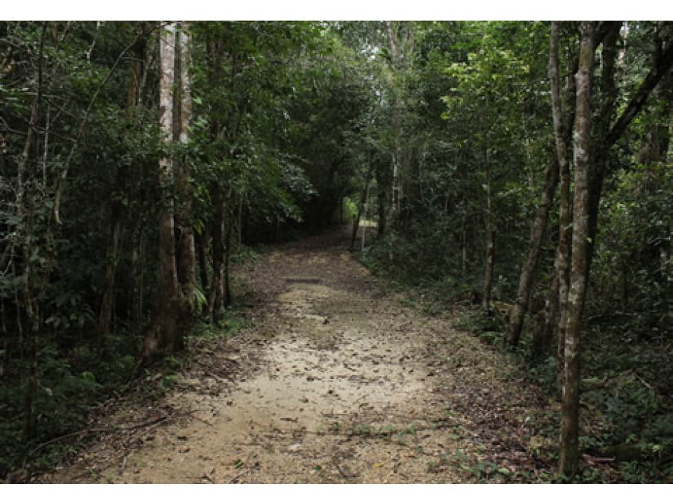 Terreno en Venta en Puerto Morelos en Ruta de los Cenotes - 1