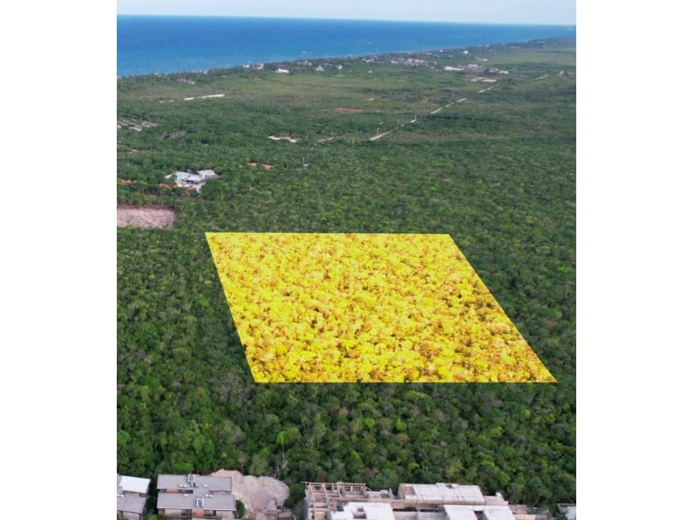 Terreno en Venta en Region 8 Tulum - 1