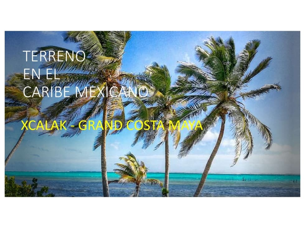 TERRENO DE 185 METROS DE PLAYA EN XCALACK, Q.ROO - 1