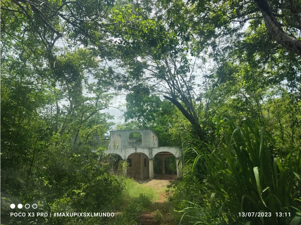 RANCHO 100 HECTAREAS CON CENOTE EN CHICHEN ITZA - 1
