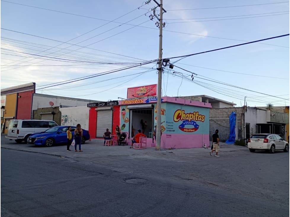 Propiedad con Locales en Esquina, La Reforma Juárez N.L. - 1