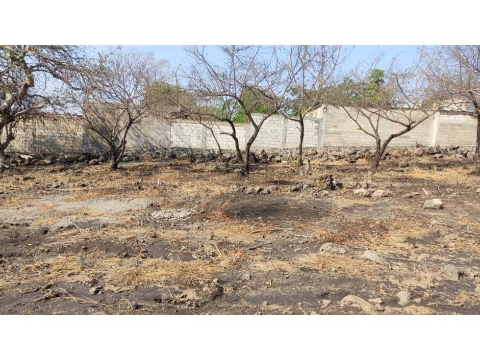 Terreno al sur del Estado de Morelos - 1