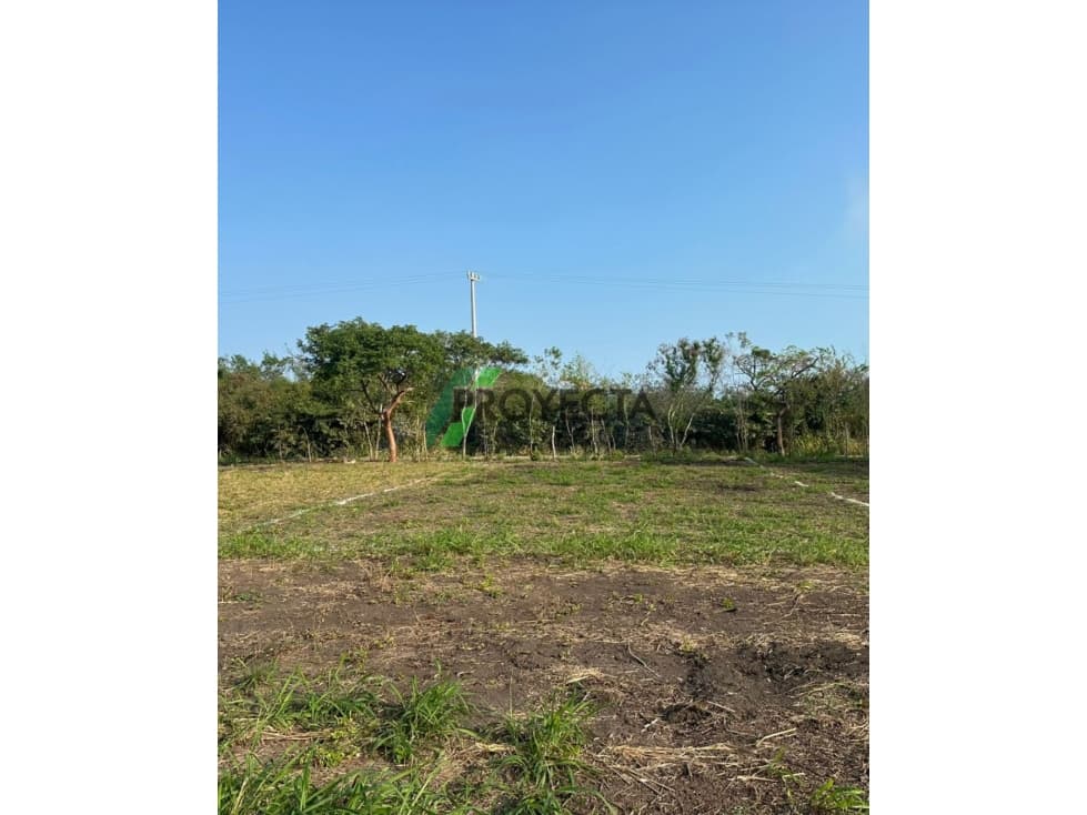 LOTES EN VENTA - TAMPICO ALTO - 1