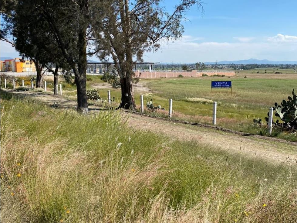TERRENO EN EL GAVILLERO DE LA TRINIDAD (LA CURVA) - 1