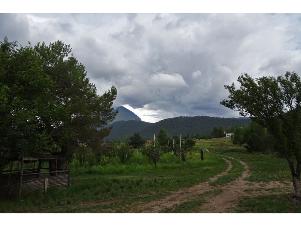 Terreno campestre en VENTA en Fracc. Los Andes-RTV535845 - 1
