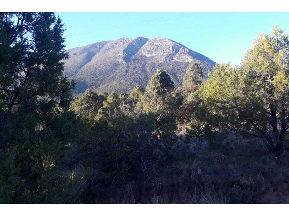 Terreno campestre en VENTA sobre la carretera a Los Lirios RTV480524 - 1