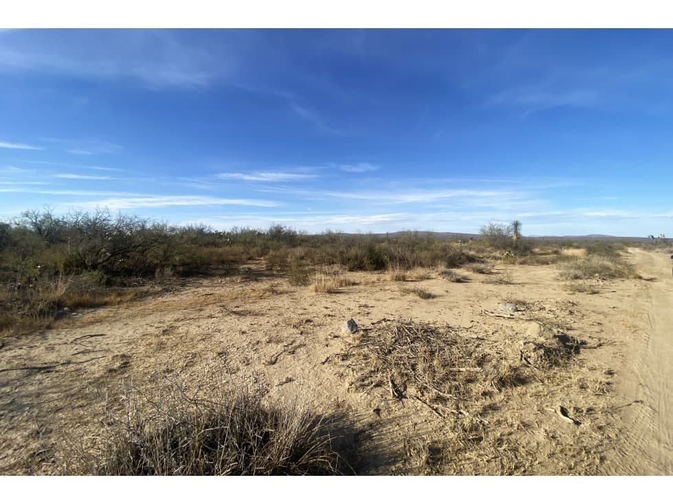 Terreno en VENTA en General Cepeda RTV666736 - 1
