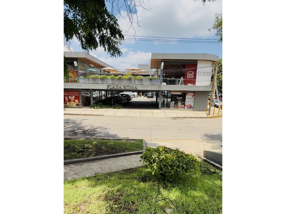 Local Comercial en Renta en Plaza Comercial Roma Zamora - 1
