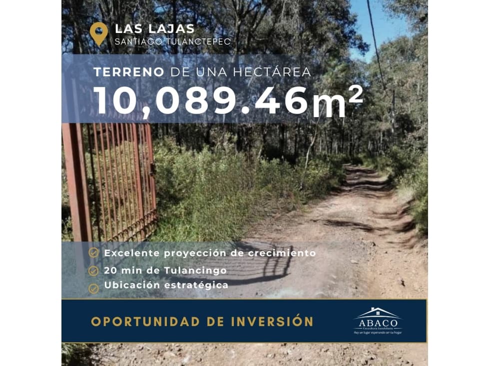 VENTA DE UNA HECTAREA DE TERRENO EN LAS LAJAS, SANTIAGO TULANTEPEC - 1