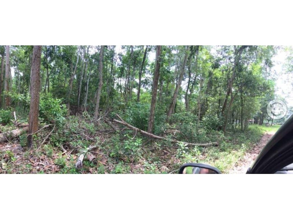 VENTA - Rancho El Faustino, 250ha, Balancan, Tab. - 1