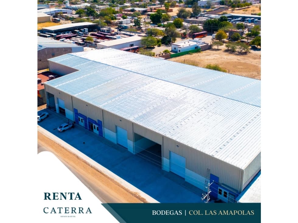 RENTA / Bodegas Col. Las Amapolas - 1