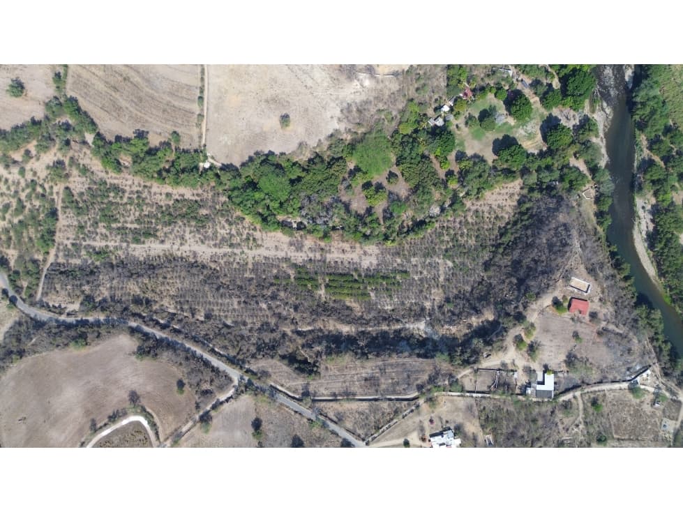 SE VENDE ESPECTACULAR RANCHO PRODUCTIVO EN MORELOS - 1