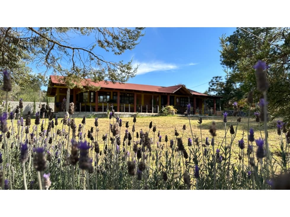 FINCA EN VENTA EN OMITLAN DE JUAREZ, HGO. - 1