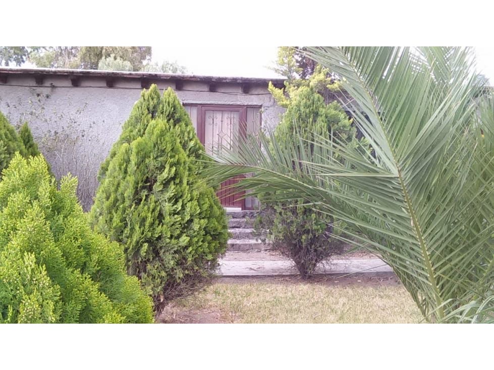 RENTA/venta CASA EN EL VENADO, CON GRAN TERRENO - 1