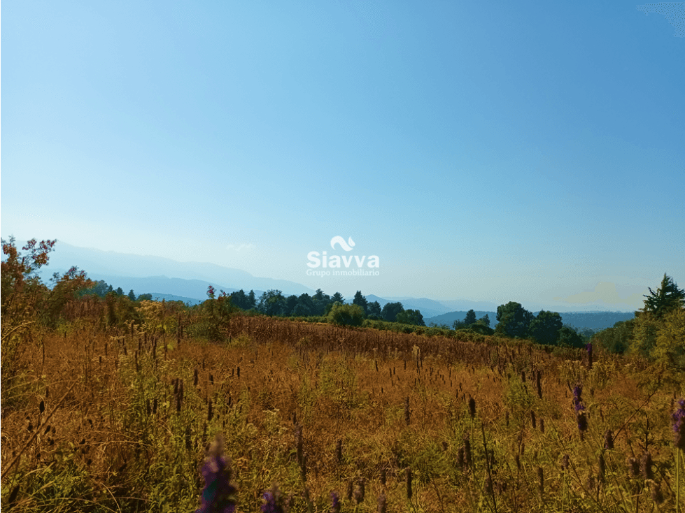 TERRENO EN VENTA EN TEMASCALTEPEC - 1
