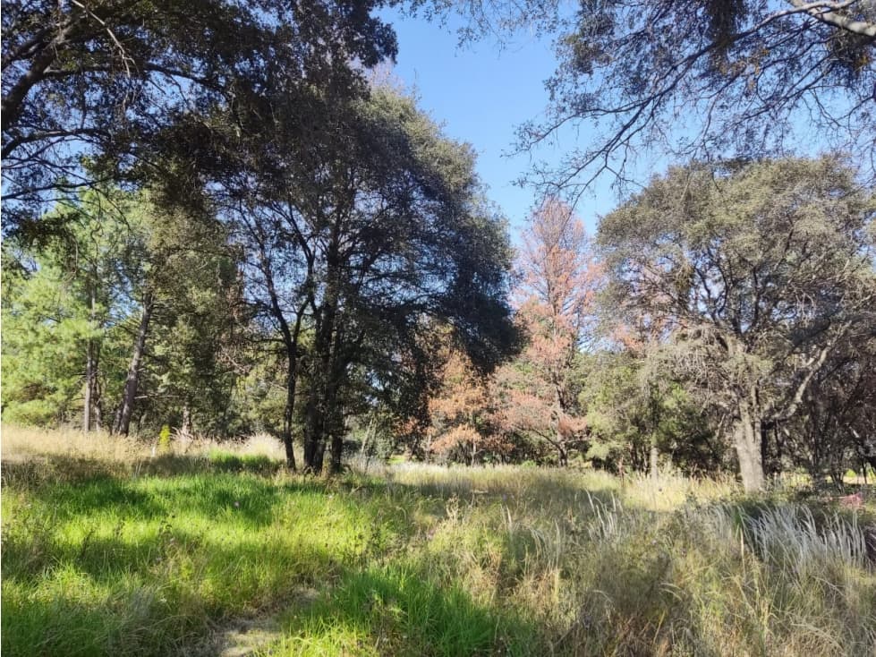 Excelente lote en venta Santa Cruz Tlaxcala - 1