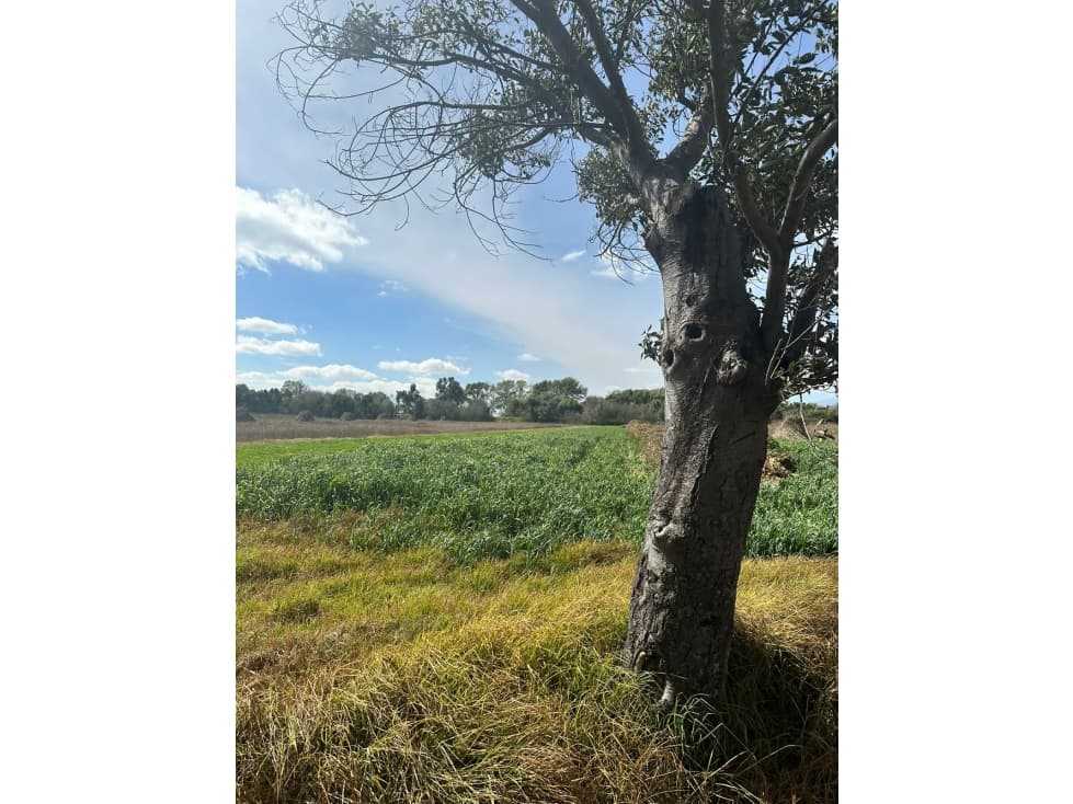 VENTA DE TERRENO CERCA DE VAL'QUIRICO - 1