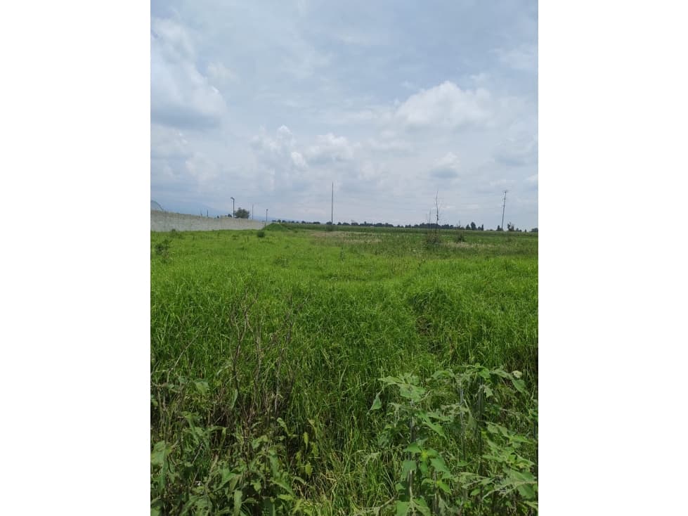 TERRENO EN VENTA CAMINO REAL ZACATELCO TLAXCALA - 1