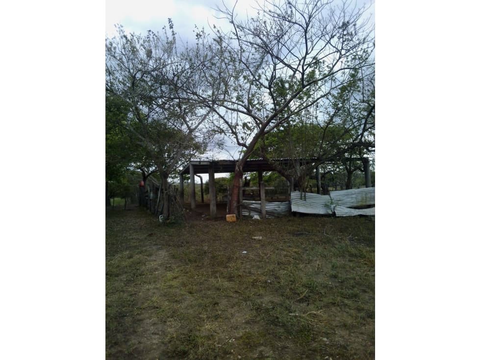 RANCHO EN VENTA JOSE AZUETA VERACRUZ - 1
