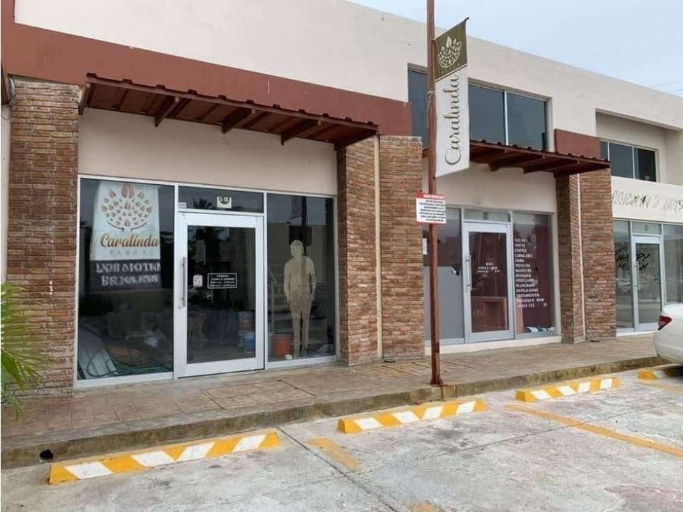 RENTA LOCAL COLONIA LAS AMERICAS CIUDAD MADERO TAMAULIPAS - 1