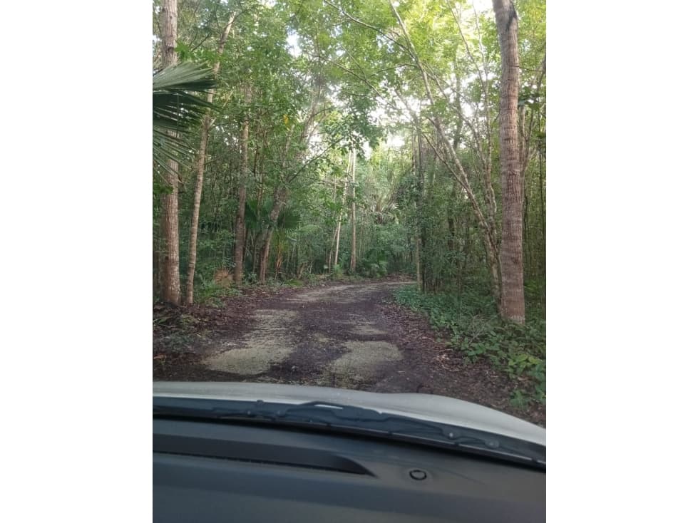 Terreno en la ruta de los cenotes Puerto Morelos - 1