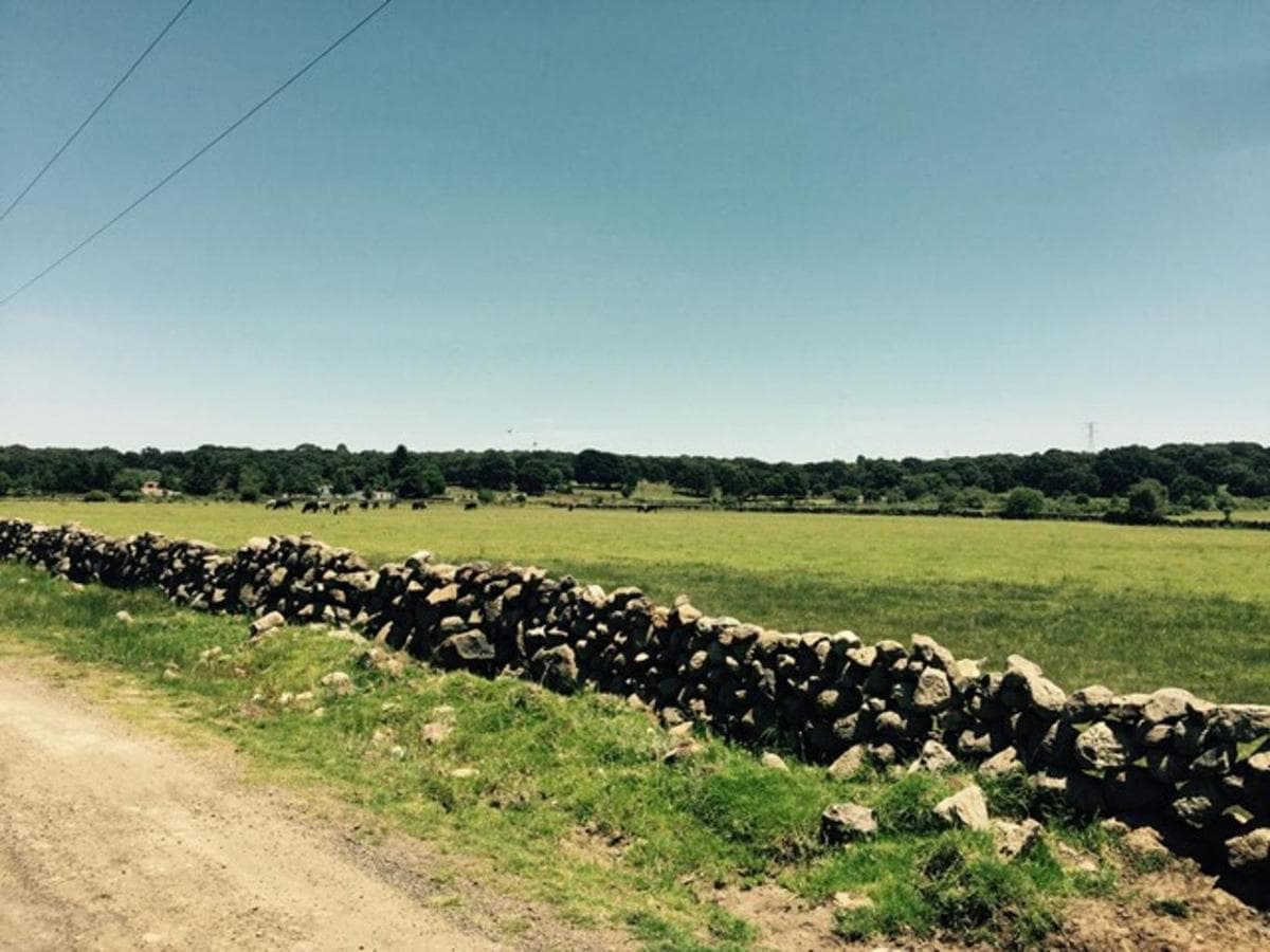 Terreno/Lote Venta Ranchería de Aldama, Jilotepec - 1