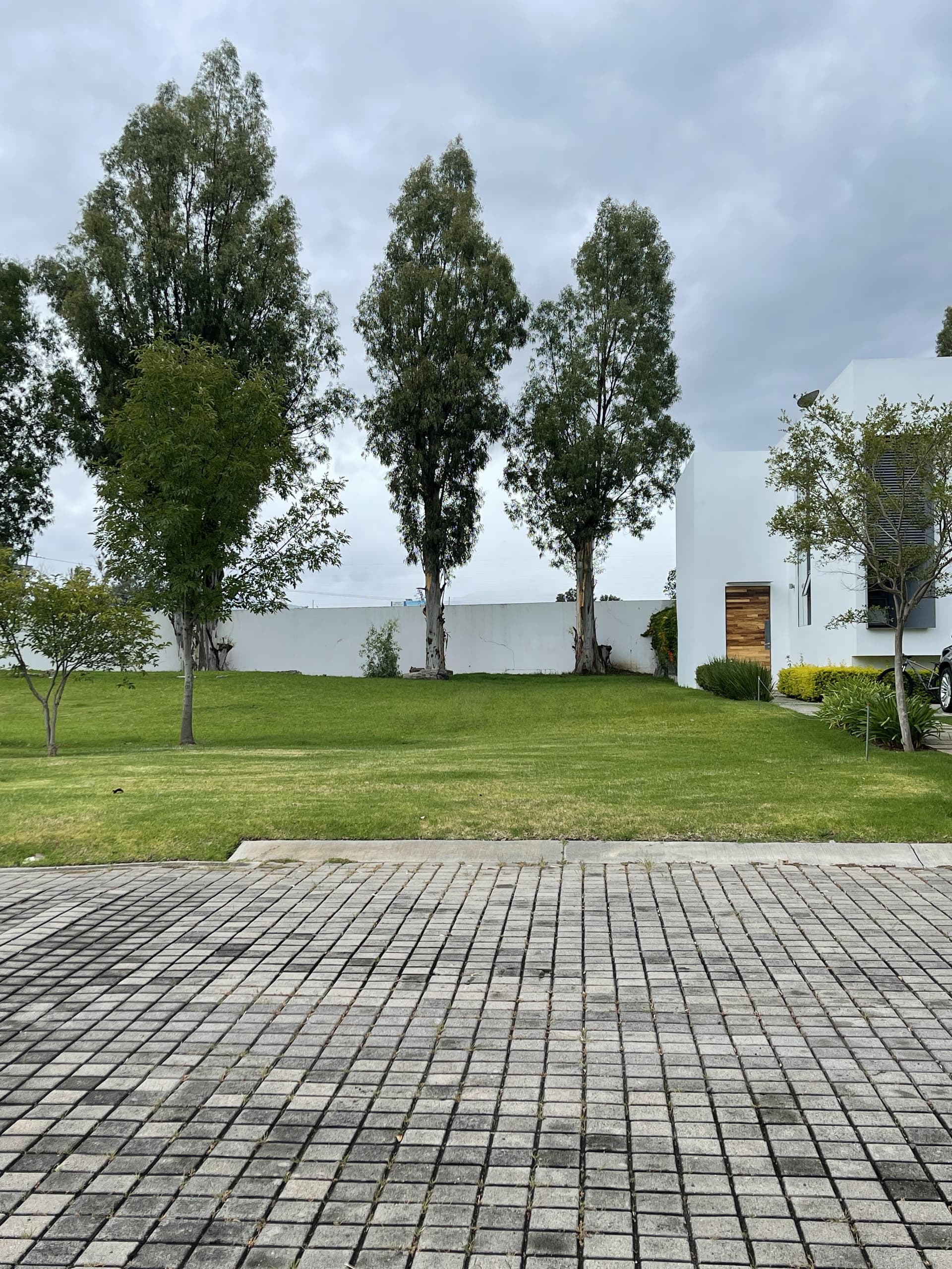Terreno - Lago del Bosque - 1