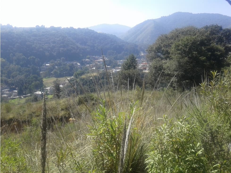 VENTA TERRENO EN SAN BARTOLOME COATEPEC, HUIXQUILUCAN A 5 MIN. BOSQUE REAL - 1