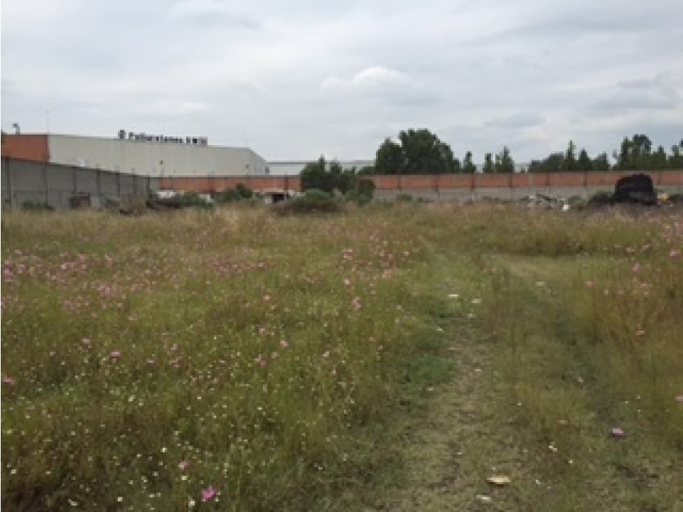 Terreno en Venta Industrial Cuamatla - 1
