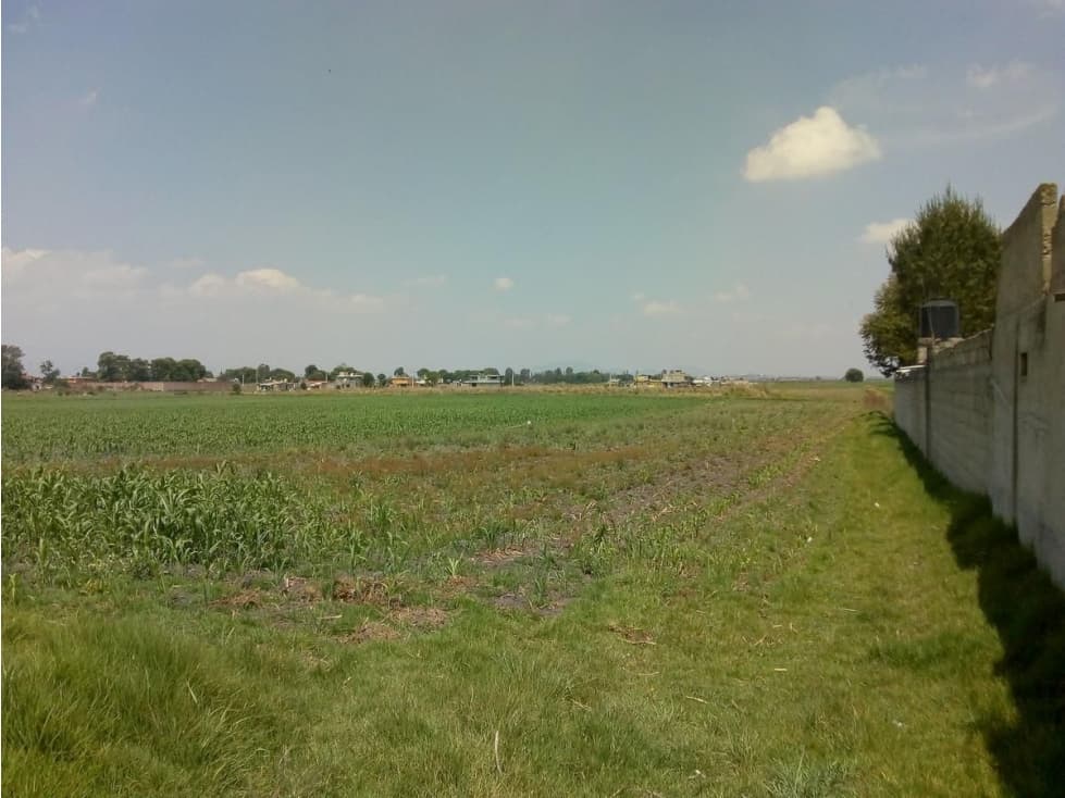 Terreno en Venta en San Mateo Toluca - 1