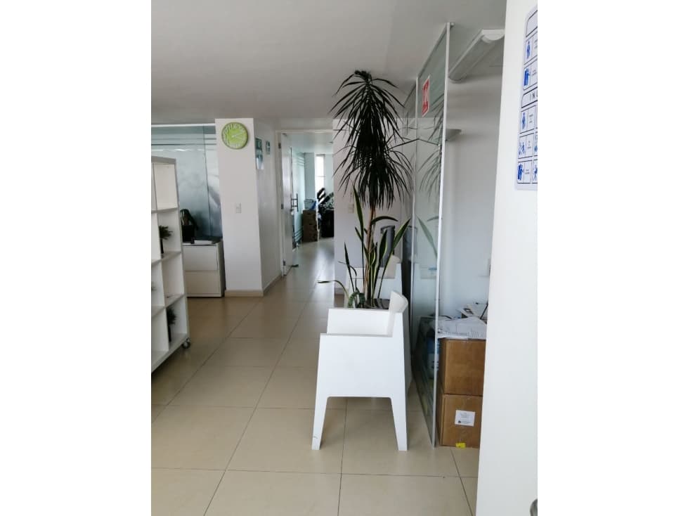 Oficinas en Renta en Polanco Miguel Hidalgo - 1