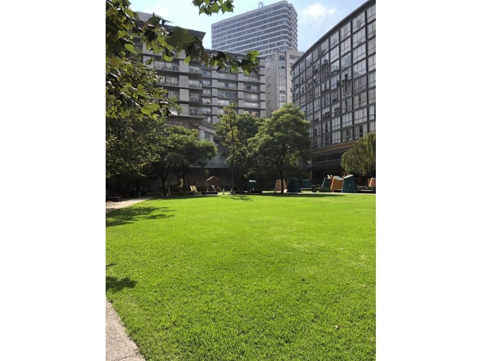 Departamento amueblado en Renta PARQUES POLANCO Miguel Hidalgo - 1