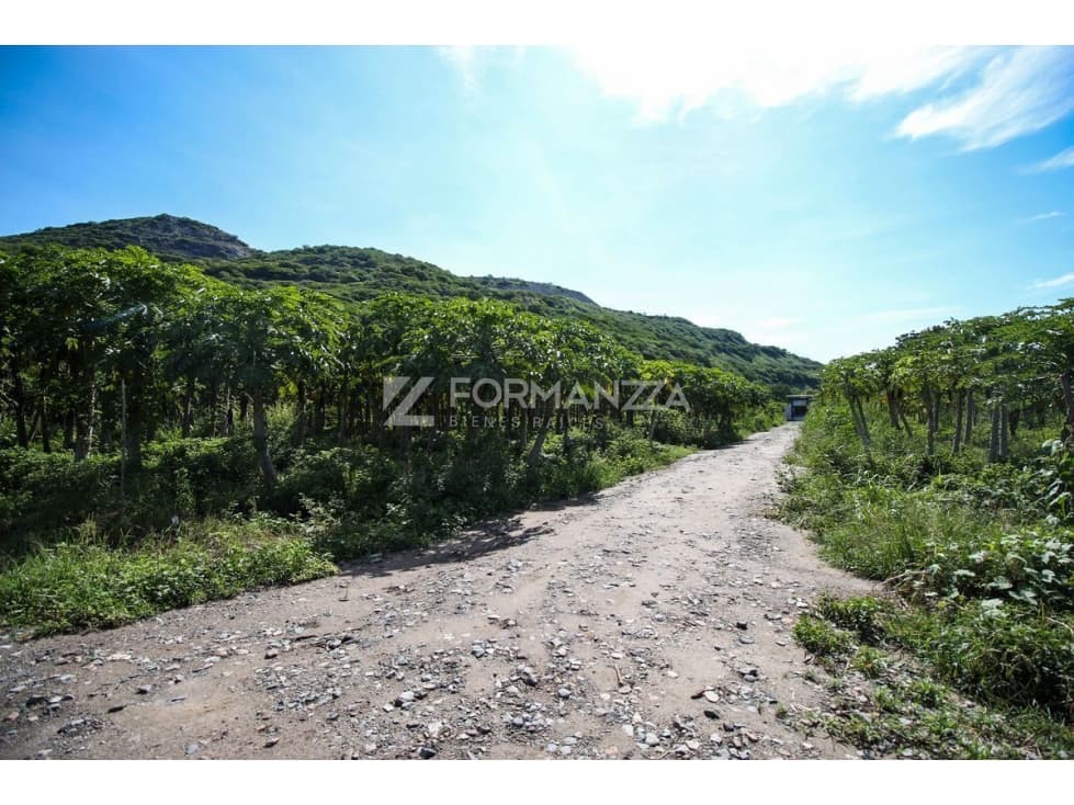 Predio Agrícola en venta "Rancho las Ánimas" - 1