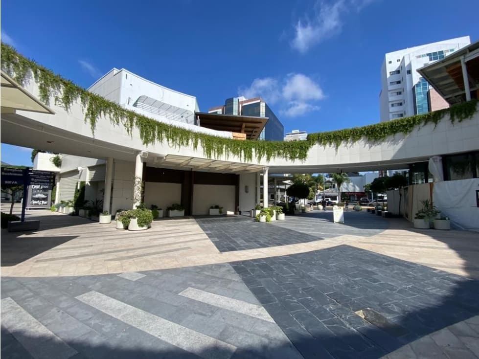 Local comercial Paseo Chapultepec 100 mts - 1