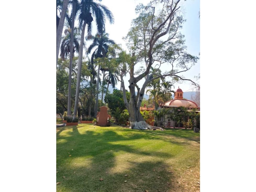 Terreno en venta en Ticumán Morelos - 1