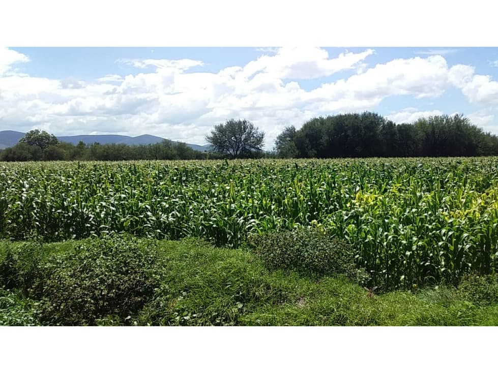 TERRENO EN VENTA EN SANTIAGO DE ANAYA 2 - 1