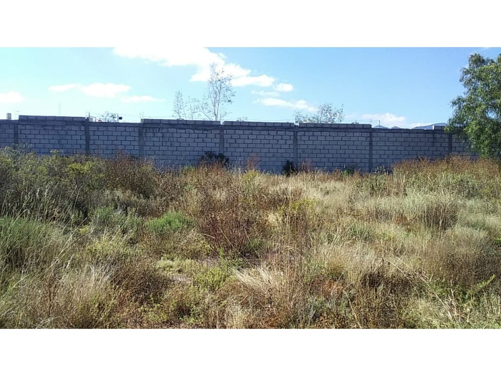 VENTA DE TERRENO EN ZEMPOALA CERCA DE LA UPP - 1