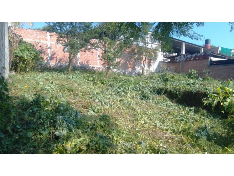 Terreno en 3 de Mayo, Emiliano Zapata 1012 m2 - 1