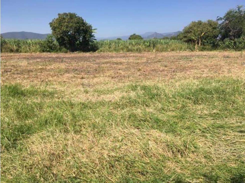 Venta de Terreno en Oacalco - 1