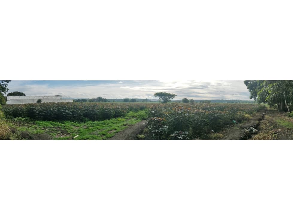 Venta de Terreno en La Colonia Cuautlita - 1