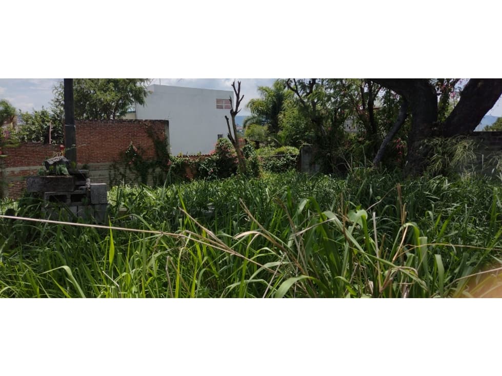 Venta de Terreno en La Colonia Lomas de Guadalupe - 1