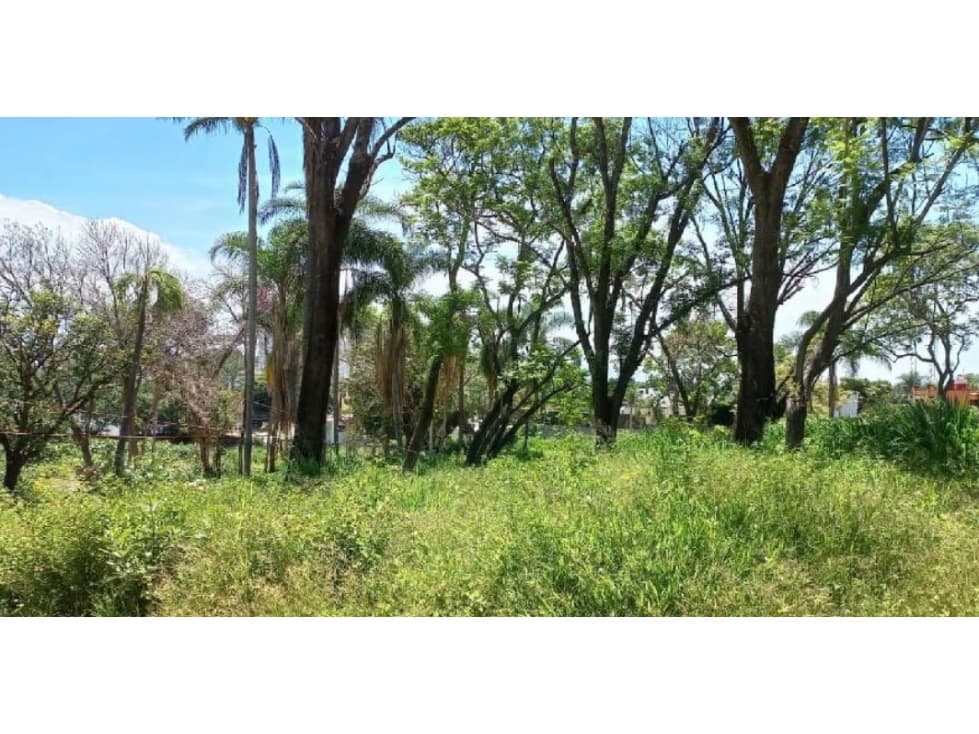 Preventa de Terreno en la Colonia Delicias - 1