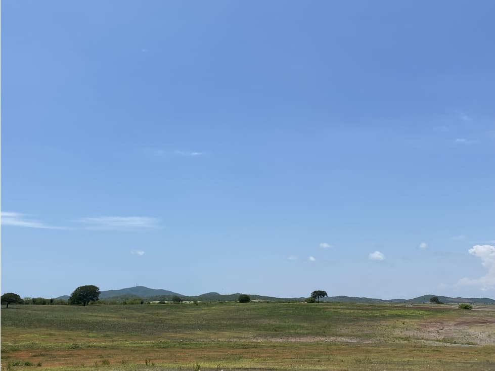 Terreno en Venta a Pie de Autopista Mzt-Cln en Dimas, Sinaloa - 1