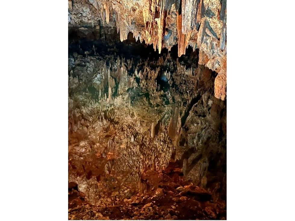 Rancho con cenote en venta, 28 hectáreas en Calotmul, Yucatán - 1