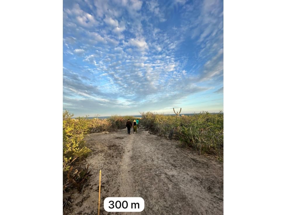 Terreno en venta en Cabo del este - 1