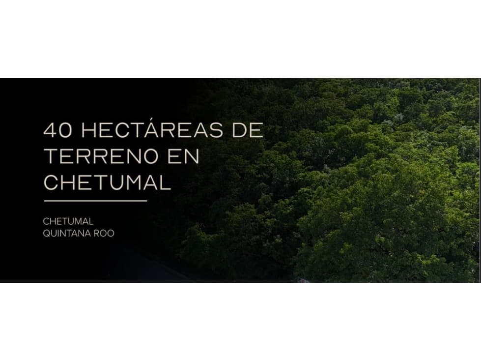 Terreno en Venta en Chetumal 40 ha - 1