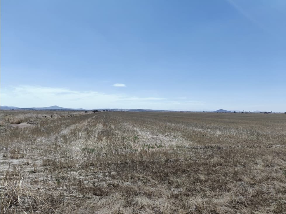 TERRENO DE 5 HECTAREAS EN VENTA, ZAPOTLAN HGO, ZONA PLATAH - 1