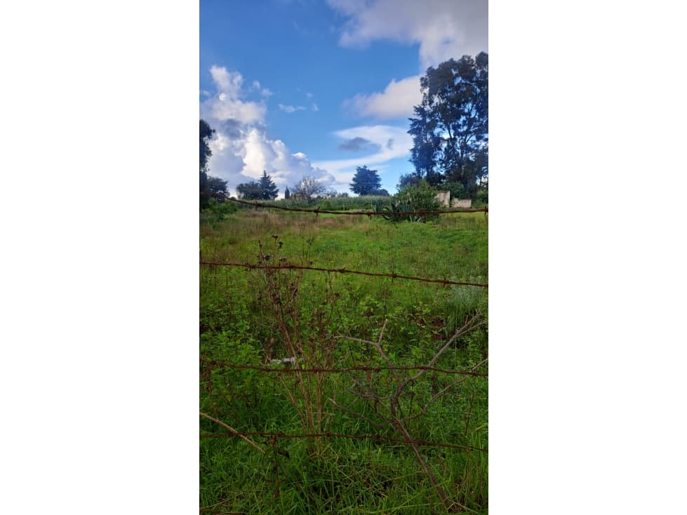 Terreno en Venta en Omitlán de Juárez - 1