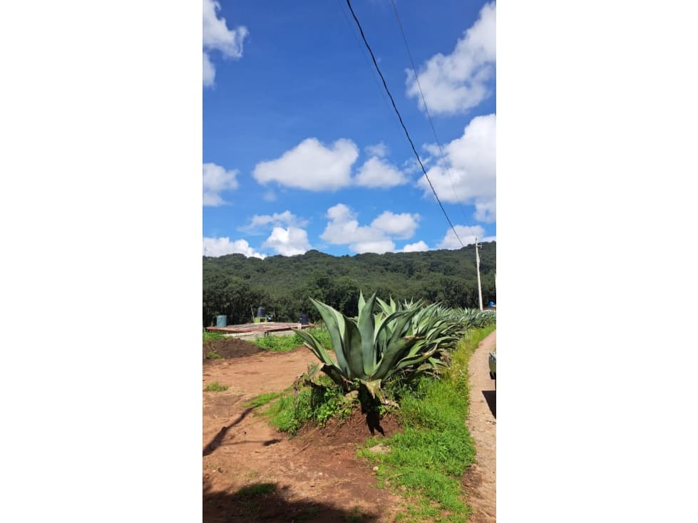Terreno en Omitlan de Juárez - 1