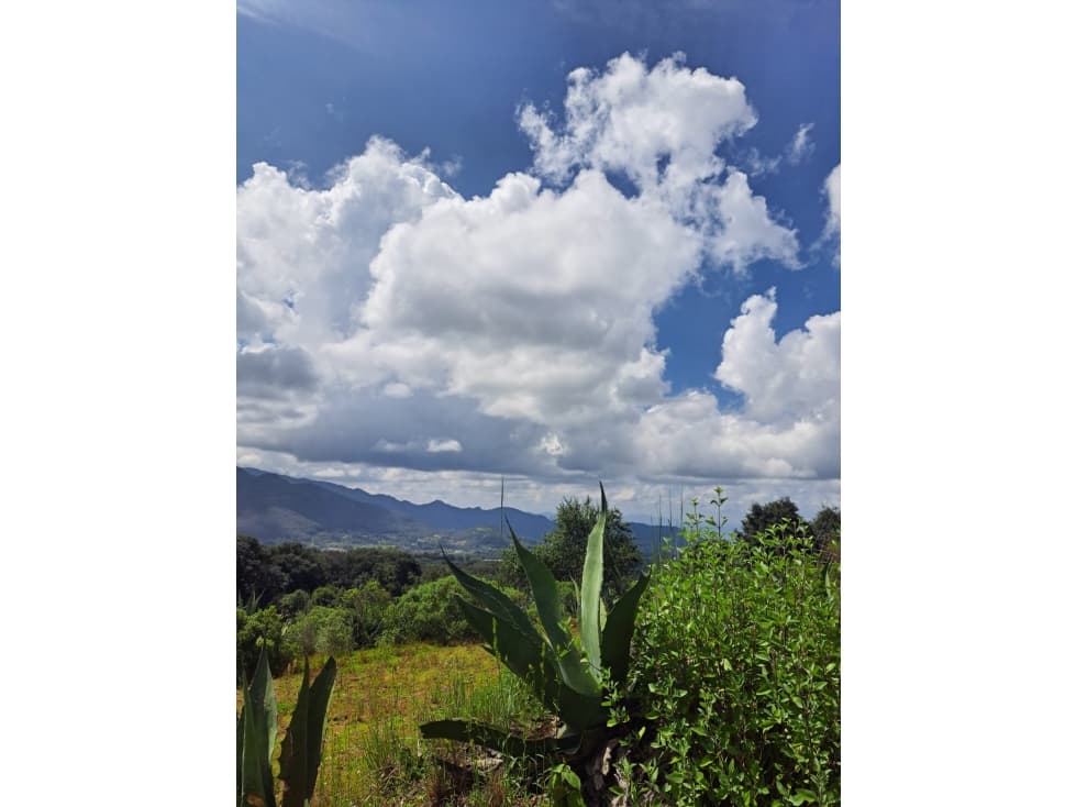 Terreno en Venta en Omitlan de Juárez (entero o por fracciones) - 1